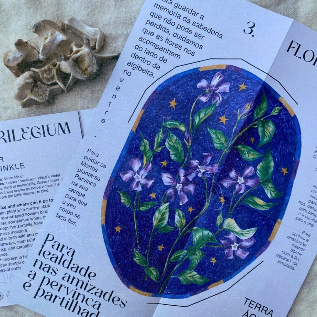 Iris Garcia – Terapia, Animismo, Herbalismo e Corpo